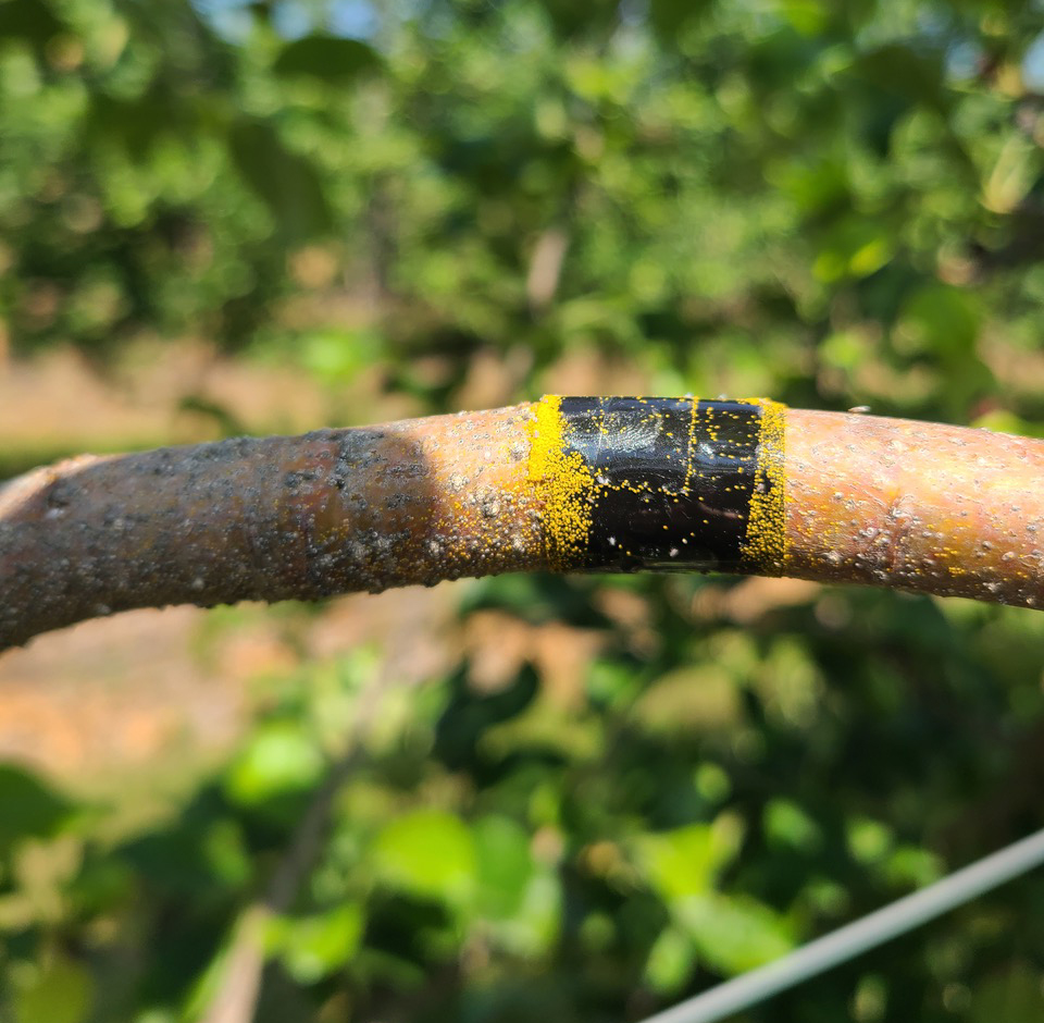 4-electrical tape trap-cropped-Heather Leach.jpg